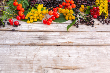 Autumn flowers, rowan and berries on a wooden background. Border with space for text. - obrazy, fototapety, plakaty