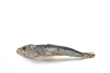 にぼし（マイワシ）富山県産