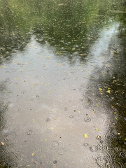 Obraz na płótnie Canvas rain drops on the lake