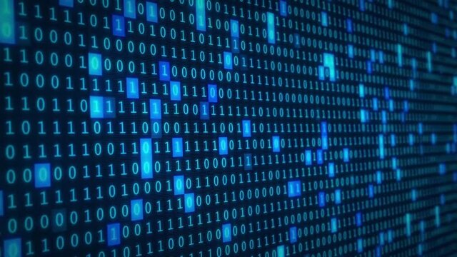 A digital representation of data interpreted by a computer system - animation