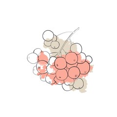 Isolated autumn rowan leaves with abstract orange and beige stains on white background
