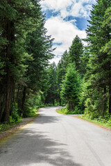 Fototapeta na wymiar Empty road in the Paul Lake Provincial Park British Columbia Canada