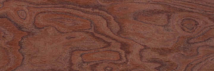 Perfect brown elm-tree veneer background as part of your design. Long plank texture. Wooden pattern.