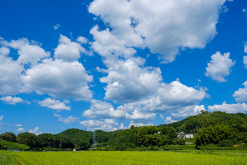 Naklejka premium 青空と農村の田園風景 京都府木津川市