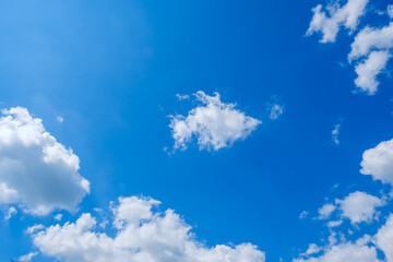 写真素材 青空 空 飛行機雲 夏の空 秋 背景 背景素材 9月 コピースペース Wall Mural Rummy Rummy 写真素材 青空 空 飛行機雲 夏の空 秋 背景 背景素材 9月 コピースペース Wall Mural Rummy Rummy