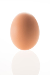 コロンブスの卵