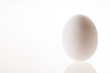 コロンブスの卵