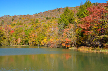 湖面の紅葉