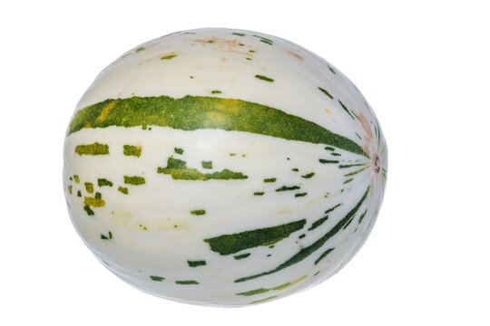 Fresh, juicy melon isolated on a white background