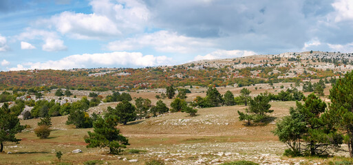 Fototapeta na wymiar Mountain plateau with outcrops of limestone rocks and woodland autumn