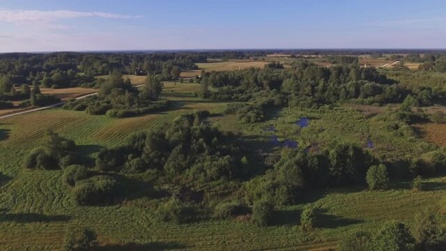 Swampy Area On A Sunny Summer Day. Aerial Arc