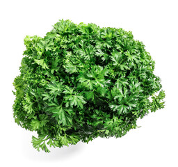 Fresh parsley on white background