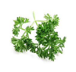 Fresh parsley on white background