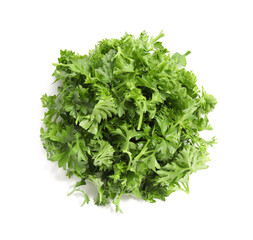 Fresh parsley on white background