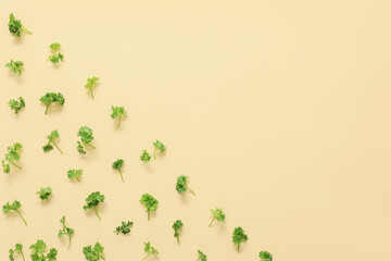 Fresh parsley on color background