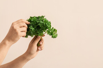 Hands with fresh parsley on color background