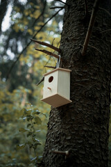 Wooden bird house on a tree.