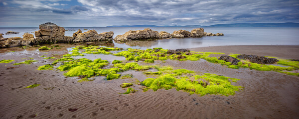 Panoramic view of beach with seaweed and rocks at the  west coast of the isle of Arran in Scotland