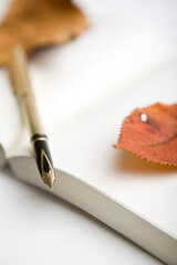 fountain pen with fallen leaves on open note