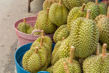 Thai Monthong Durian