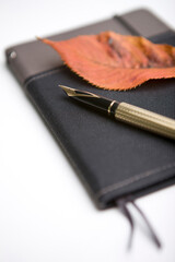 fountain pen and fallen leaves on note