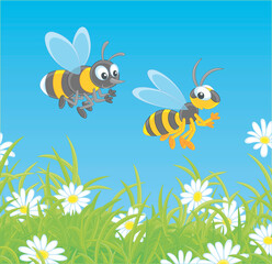 Striped yellow and black bee and wasp buzzing and flying over a green field with flowering white chamomiles on a warm summer day, vector cartoon illustration