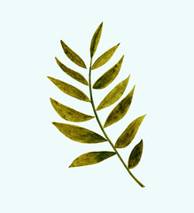 Fototapeta na wymiar Green leaf on a white background, painted in watercolor