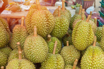Thai Monthong Durian