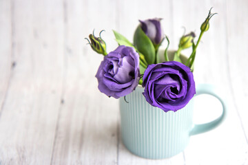 Beautiful purple roses in a blue cup on a light background. Close up. Background with copy space