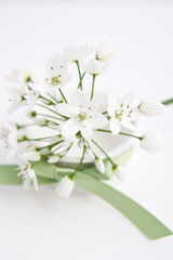 white flowers with ribbon