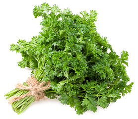 green fresh parsley isolated on white background. parsley bunch. full depth of field