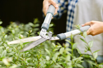 gardening and people concept - woman with pruner or pruning shears cutting branches at summer garden