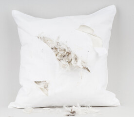 White feather pillow with cuts