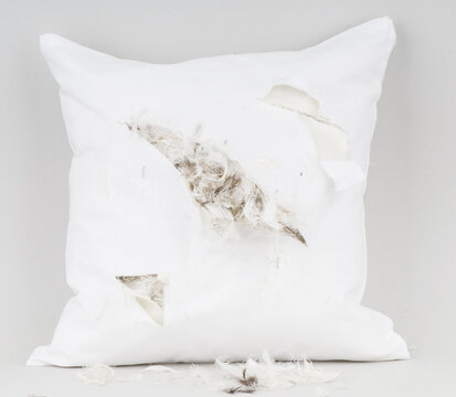White Feather Pillow With Cuts