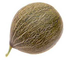 Ripe melon isolated on a white background.