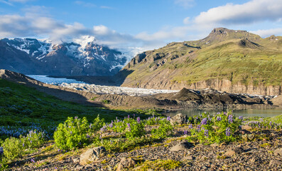 Fototapeta na wymiar Vatnajokull Glacier South Iceland in Sunny Day