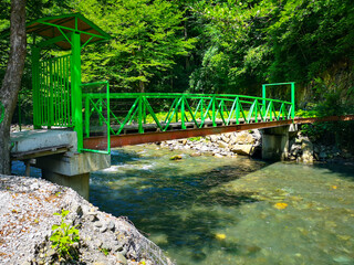 Fototapeta na wymiar Green bridge on a mountain river