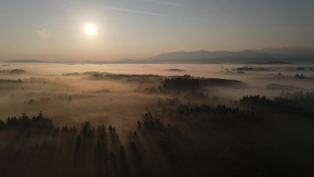 Traumlandschaft Sonne, Nebel, B&auml;ume, Licht im Abendrot