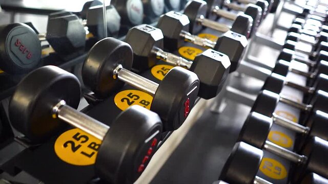 25 punds weights and 30 punds in a gym