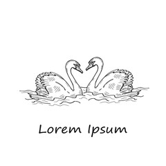 Fototapeta na wymiar Сomposition with cute hand drawn swans. Love collection. Just married. Valentine. Vector