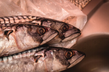 Three dead fishes are lying on the table and ready for a meal preparation