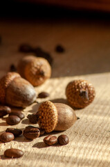 several acorns and grains of coffee lie on a wooden background. space for text