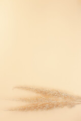 Autumn composition. Dry grass on a beige background.  Flat spoon, top view