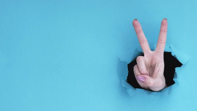 Victory gesture. Success peace. Female hand showing V sign with two fingers up inside breakthrough paper hole isolated on blue ripped wall background with copy space. Promotional banner.
