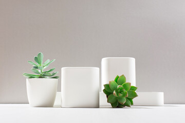White empty boxes of different forms on light backdrop with shadow and succulent plants.