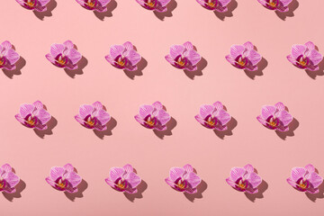 Seamless pattern of beautiful flowers phalaenopsis orchid on paper pink background.