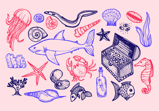 Set of cute hand drawn elements of marine theme including fish, shells and other sea dwellers. Hand drawn marine collection