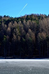 frozen lake near woods in winter with clear sky no people copy space