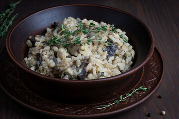 Closeup view of creamy risotto or Italian arborio rice dish cooked with broth, mushrooms, onion, white wine, olive oil and parmesan cheese on dark brown wooden background. Horizonta lorientation