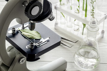 Test floral samples with microscope in biological lab